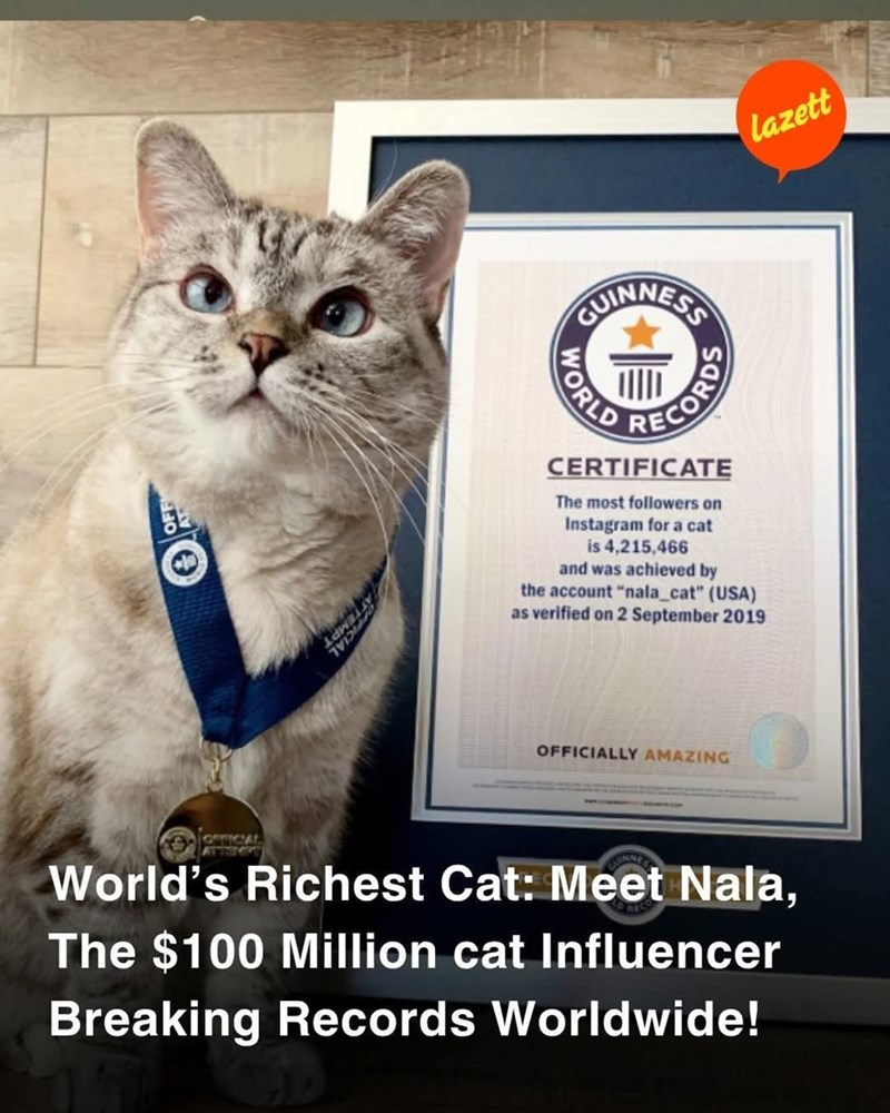 FICIAL GUINNESS lazett RECORDS WORLD CERTIFICATE The most followers on Instagram for a cat is 4,215,466 and was achieved by the account "nala_cat" (USA) as verified on 2 September 2019 OFFICIALLY AMAZING OFFICIAL World's Richest Cat: Meet Nala, The $100 Million cat Influencer Breaking Records Worldwide!