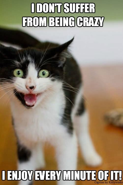 I DON'T SUFFER FROM BEING CRAZY I ENJOY EVERY MINUTE OF IT! Caption by Kittyworks