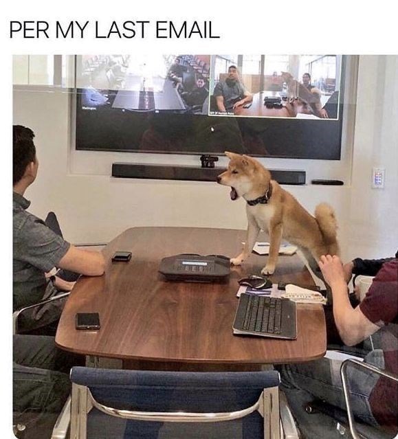 PER MY LAST EMAIL