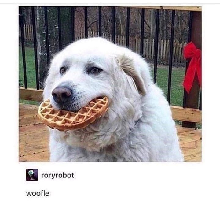 roryrobot woofle