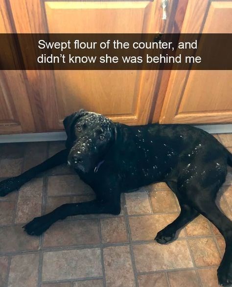 Swept flour of the counter, and didn't know she was behind me
