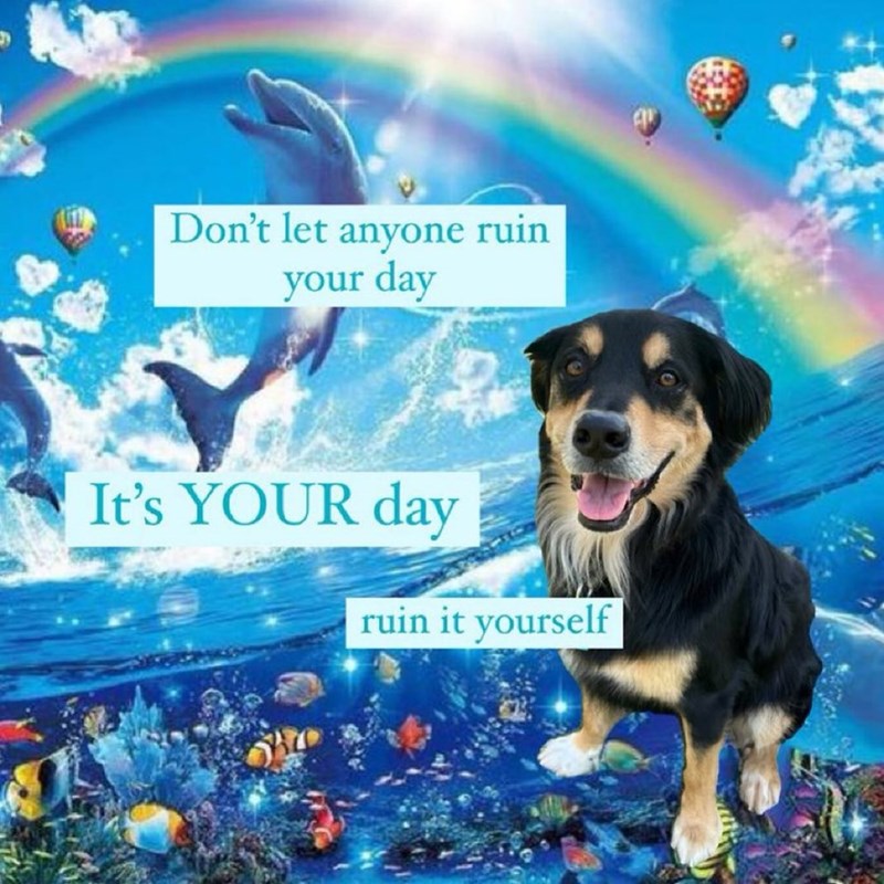 Don't let anyone ruin your day It's YOUR day ruin it yourself