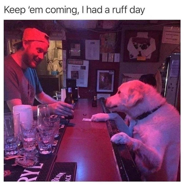 A BEA ACK Keep 'em coming, I had a ruff day