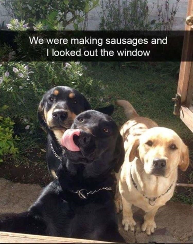 We were making sausages and I looked out the window