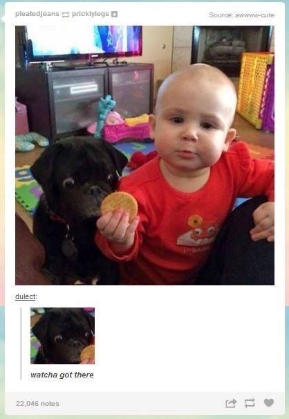 pleatedjeans pricklylegs Source: awwww-cute dulect: watcha got there 22,046 notes