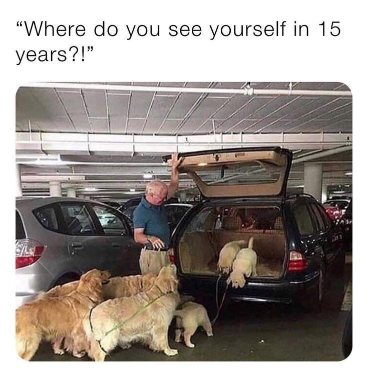 "Where do you see yourself in 15 years?!"