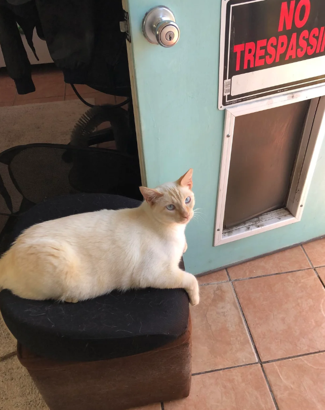 NO TRESPASSI