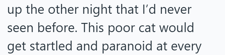 up the other night that I'd never seen before. This poor cat would get startled and paranoid at every