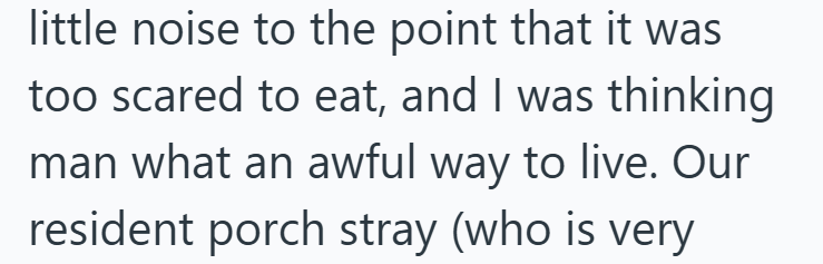 little noise to the point that it was too scared to eat, and I was thinking man what an awful way to live. Our resident porch stray (who is very