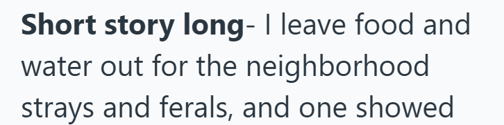 Short story long- I leave food and water out for the neighborhood strays and ferals, and one showed