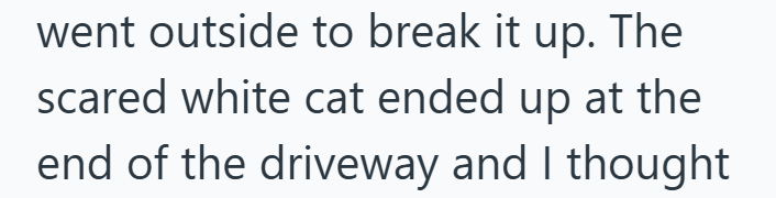 went outside to break it up. The scared white cat ended up at the end of the driveway and I thought