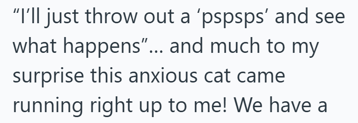 "I'll just throw out a 'pspsps' and see what happens"... and much to my surprise this anxious cat came running right up to me! We have a