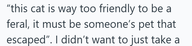 "this cat is way too friendly to be a feral, it must be someone's pet that escaped". I didn't want to just take a