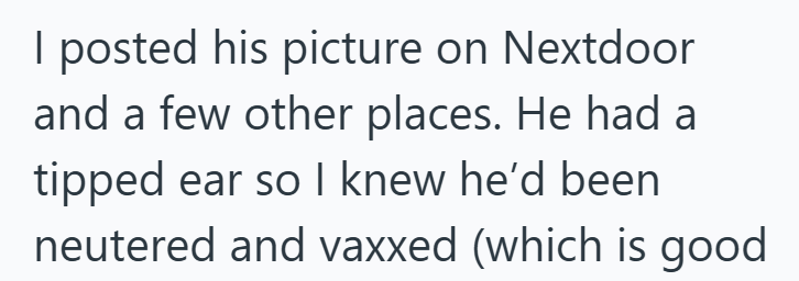 I posted his picture on Nextdoor and a few other places. He had a tipped ear so I knew he'd been neutered and vaxxed (which is good
