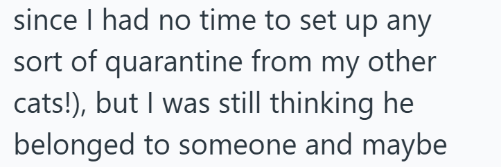 since I had no time to set up any sort of quarantine from my other cats!), but I was still thinking he belonged to someone and maybe