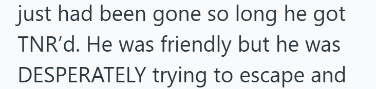 just had been gone so long he got TNR'd. He was friendly but he was DESPERATELY trying to escape and