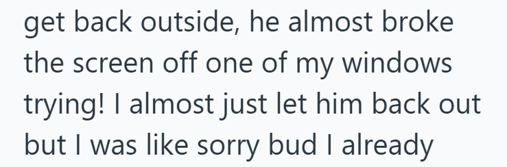 get back outside, he almost broke the screen off one of my windows trying! I almost just let him back out but I was like sorry bud I already