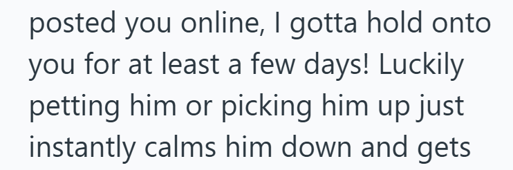 posted you online, I gotta hold onto you for at least a few days! Luckily petting him or picking him up just instantly calms him down and gets
