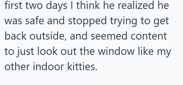 first two days I think he realized he was safe and stopped trying to get back outside, and seemed content to just look out the window like my other indoor kitties.