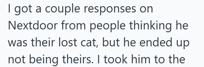 I got a couple responses on Nextdoor from people thinking he was their lost cat, but he ended up not being theirs. I took him to the