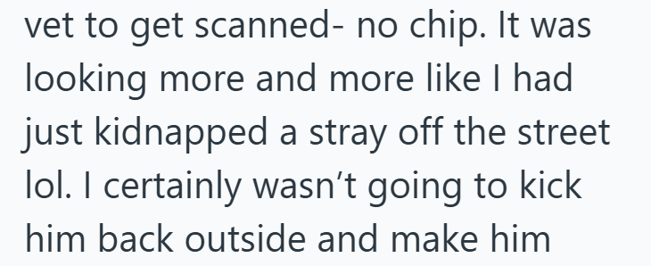 vet to get scanned- no chip. It was looking more and more like I had just kidnapped a stray off the street lol. I certainly wasn't going to kick him back outside and make him