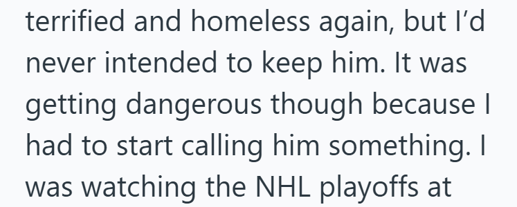 terrified and homeless again, but I'd never intended to keep him. It was getting dangerous though because I had to start calling him something. I was watching the NHL playoffs at