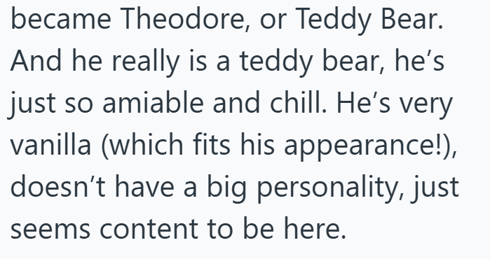 became Theodore, or Teddy Bear. And he really is a teddy bear, he's just so amiable and chill. He's very vanilla (which fits his appearance!), doesn't have a big personality, just seems content to be here.