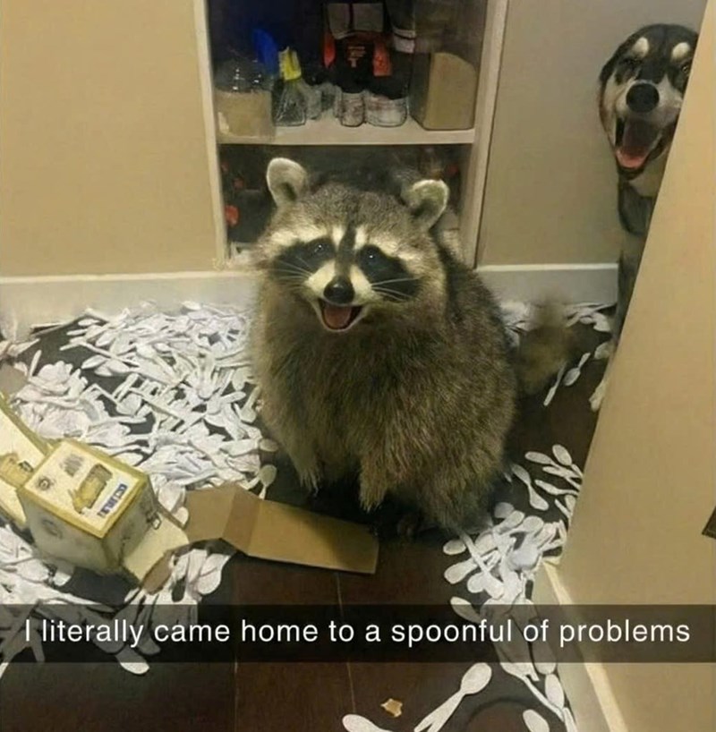 I literally came home to a spoonful of problems