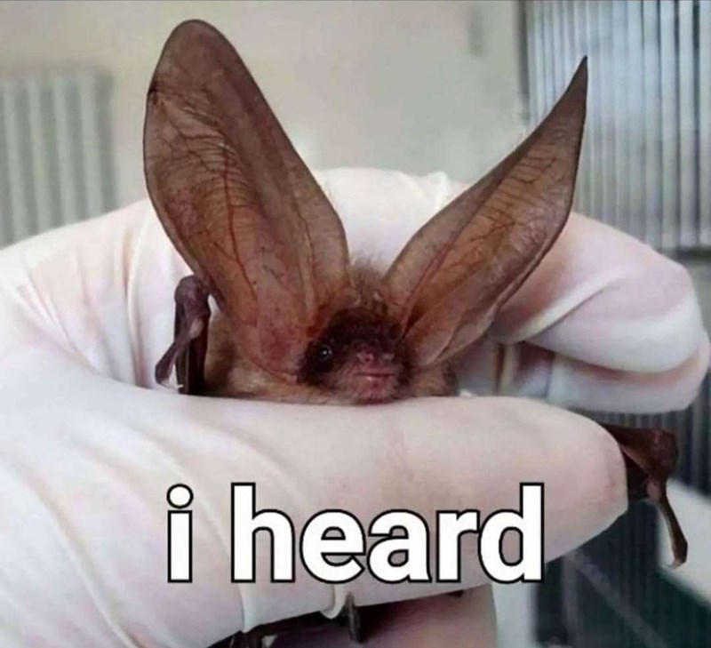 i heard