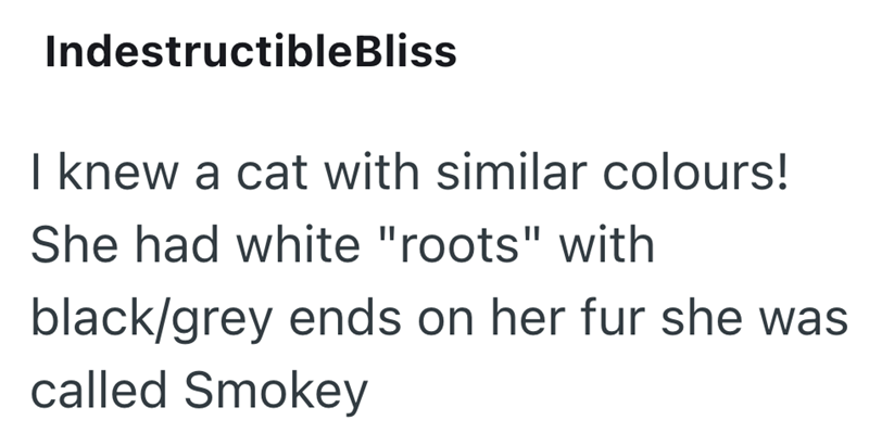 IndestructibleBliss I knew a cat with similar colours! She had white "roots" with black/grey ends on her fur she was called Smokey