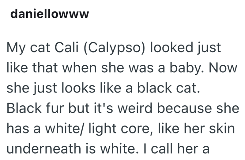 daniellowww My cat Cali (Calypso) looked just like that when she was a baby. Now she just looks like a black cat. Black fur but it's weird because she has a white/ light core, like her skin underneath is white. I call her a