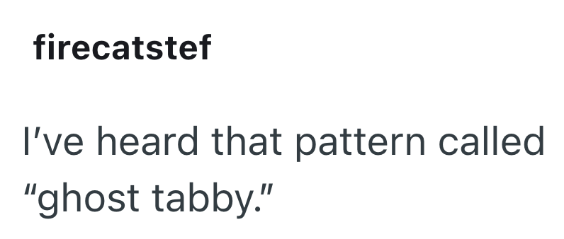 firecatstef I've heard that pattern called "ghost tabby."