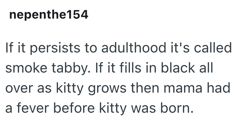 nepenthe154 If it persists to adulthood it's called smoke tabby. If it fills in black all over as kitty grows then mama had a fever before kitty was born.