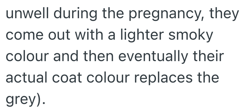 unwell during the pregnancy, they come out with a lighter smoky colour and then eventually their actual coat colour replaces the grey).