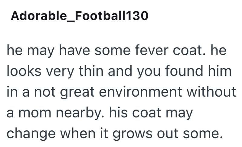 Adorable_Football130 he may have some fever coat. he looks very thin and you found him in a not great environment without a mom nearby. his coat may change when it grows out some.