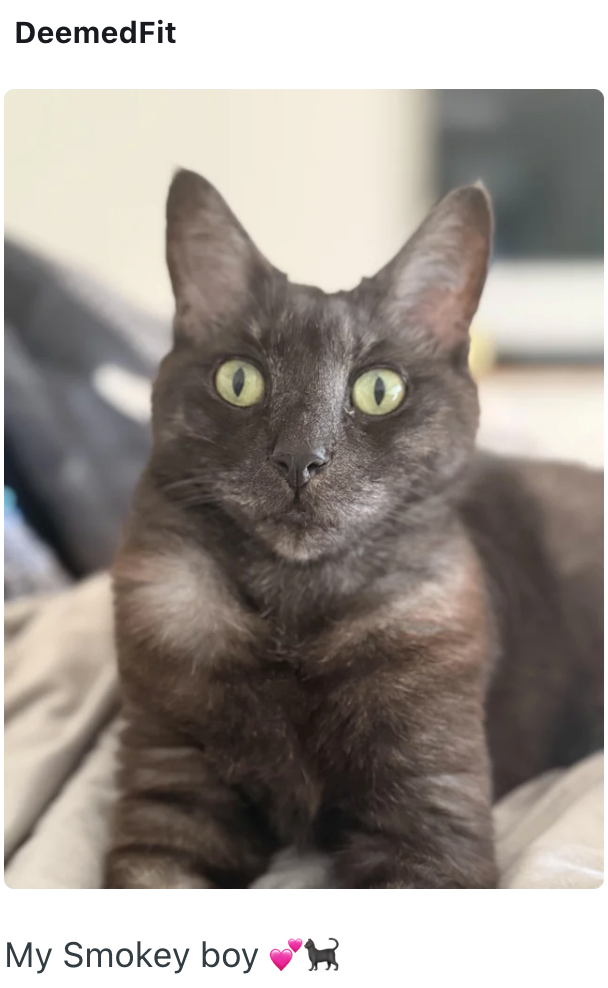 DeemedFit My Smokey boy H