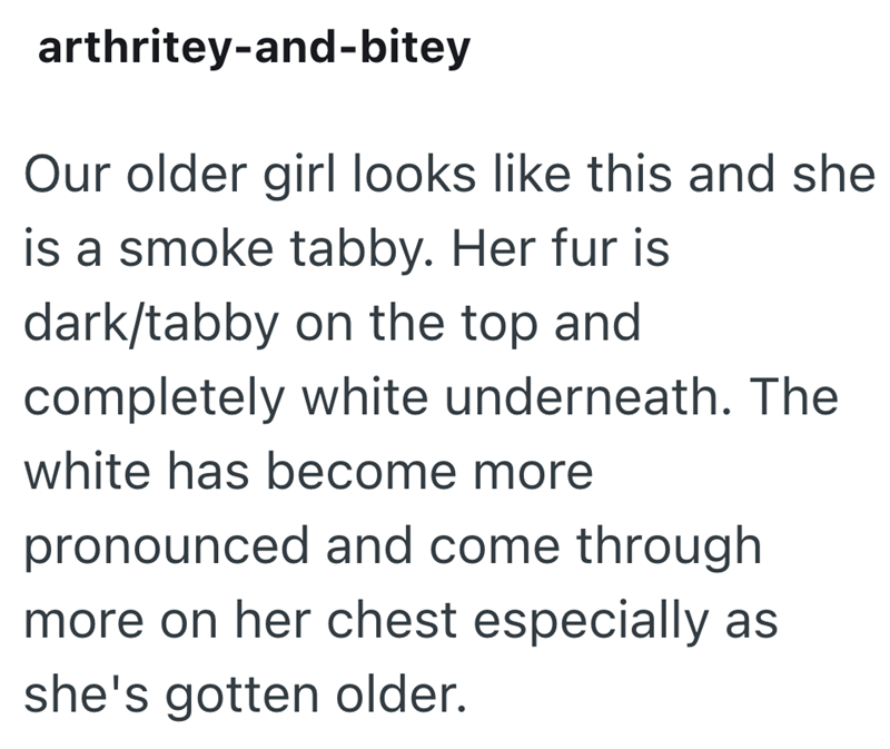 arthritey-and-bitey Our older girl looks like this and she is a smoke tabby. Her fur is dark/tabby on the top and completely white underneath. The white has become more pronounced and come through more on her chest especially as she's gotten older.