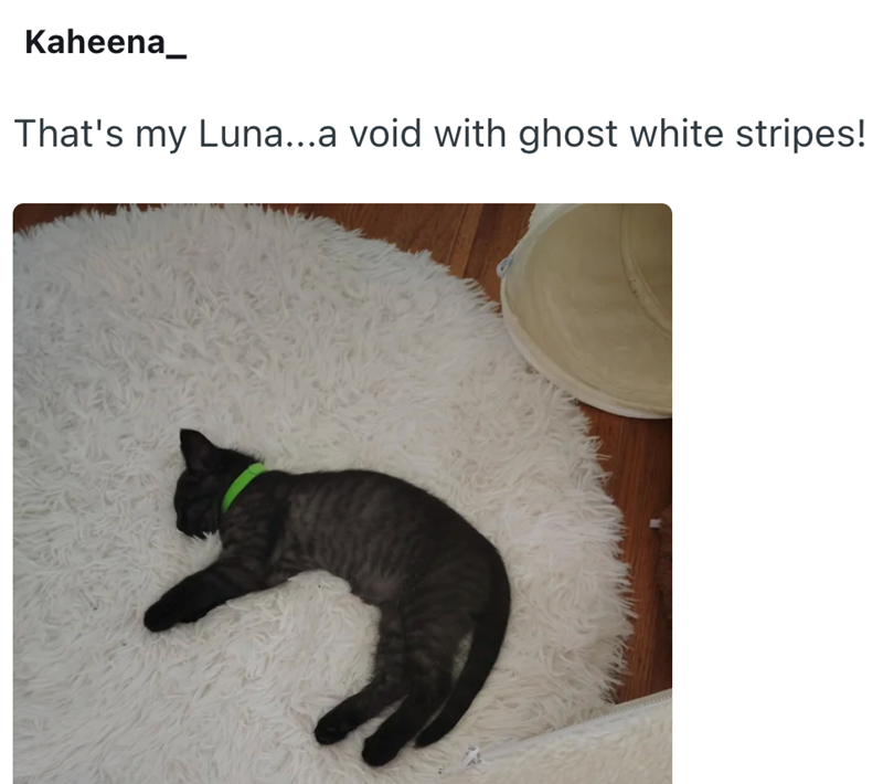 Kaheena_ That's my Luna...a void with ghost white stripes!
