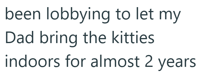 been lobbying to let my Dad bring the kitties indoors for almost 2 years