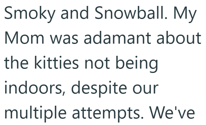 Smoky and Snowball. My Mom was adamant about the kitties not being indoors, despite our multiple attempts. We've