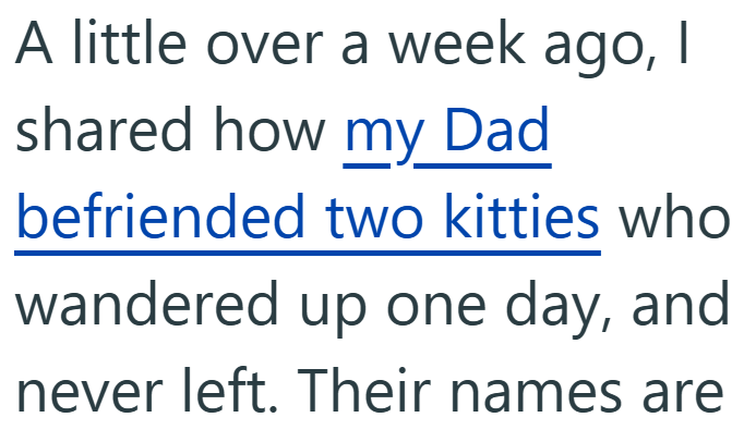 A little over a week ago, I shared how my Dad befriended two kitties who wandered up one day, and never left. Their names are