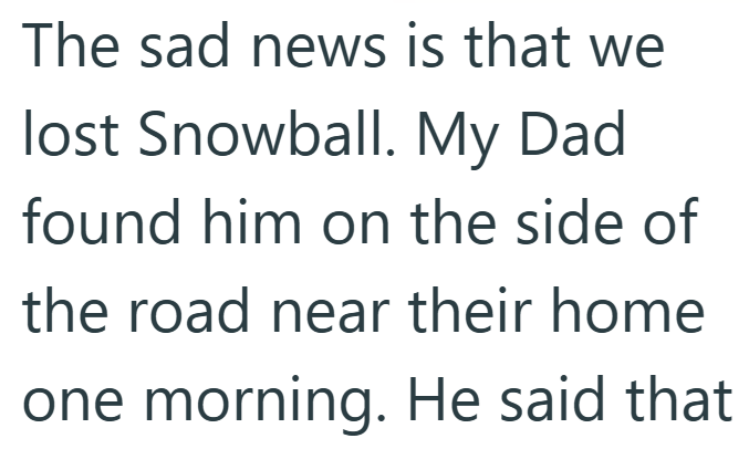 The sad news is that we lost Snowball. My Dad found him on the side of the road near their home one morning. He said that