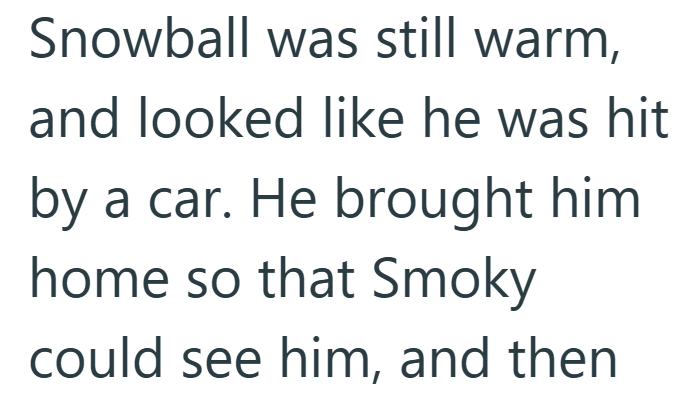 Snowball was still warm, and looked like he was hit by a car. He brought him home so that Smoky could see him, and then