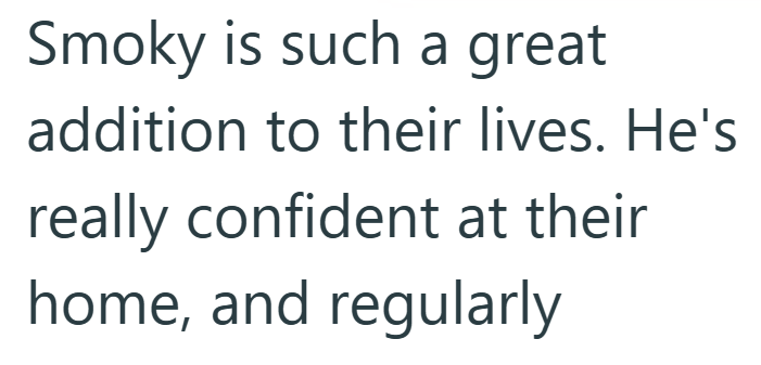 Smoky is such a great addition to their lives. He's really confident at their home, and regularly