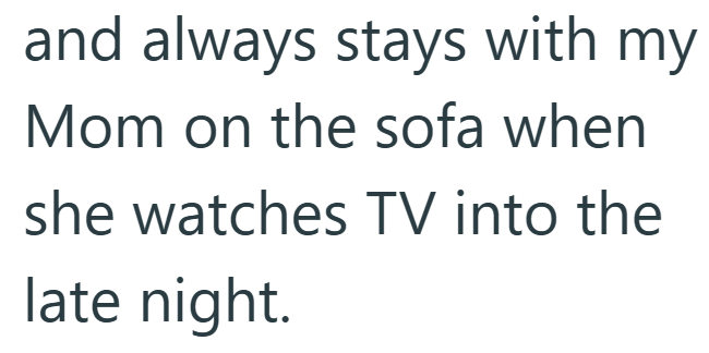 and always stays with my Mom on the sofa when she watches TV into the late night.