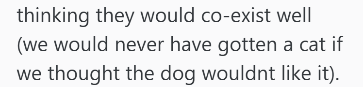 thinking they would co-exist well (we would never have gotten a cat if we thought the dog wouldnt like it).
