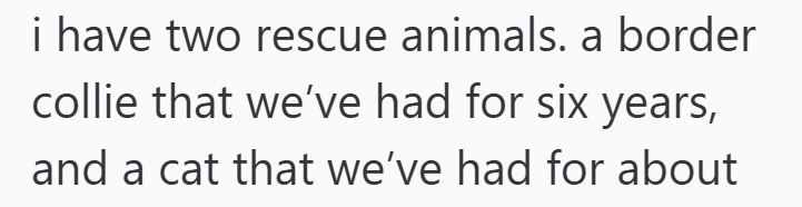 i have two rescue animals. a border collie that we've had for six years, and a cat that we've had for about
