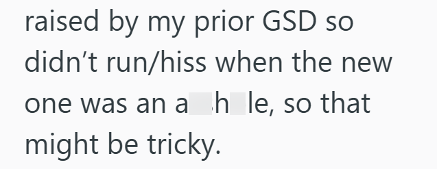 raised by my prior GSD so didn't run/hiss when the new one was an ahle, so that might be tricky.