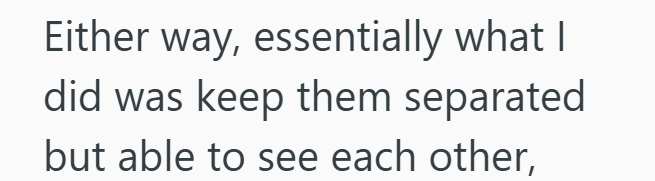 Either way, essentially what I did was keep them separated but able to see each other,