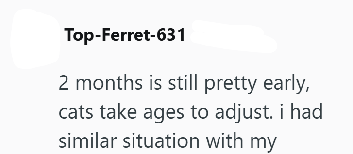 Top-Ferret-631 2 months is still pretty early, cats take ages to adjust. i had similar situation with my